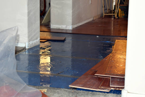 Professional Sewage Cleanup technician working in Waterville, NY